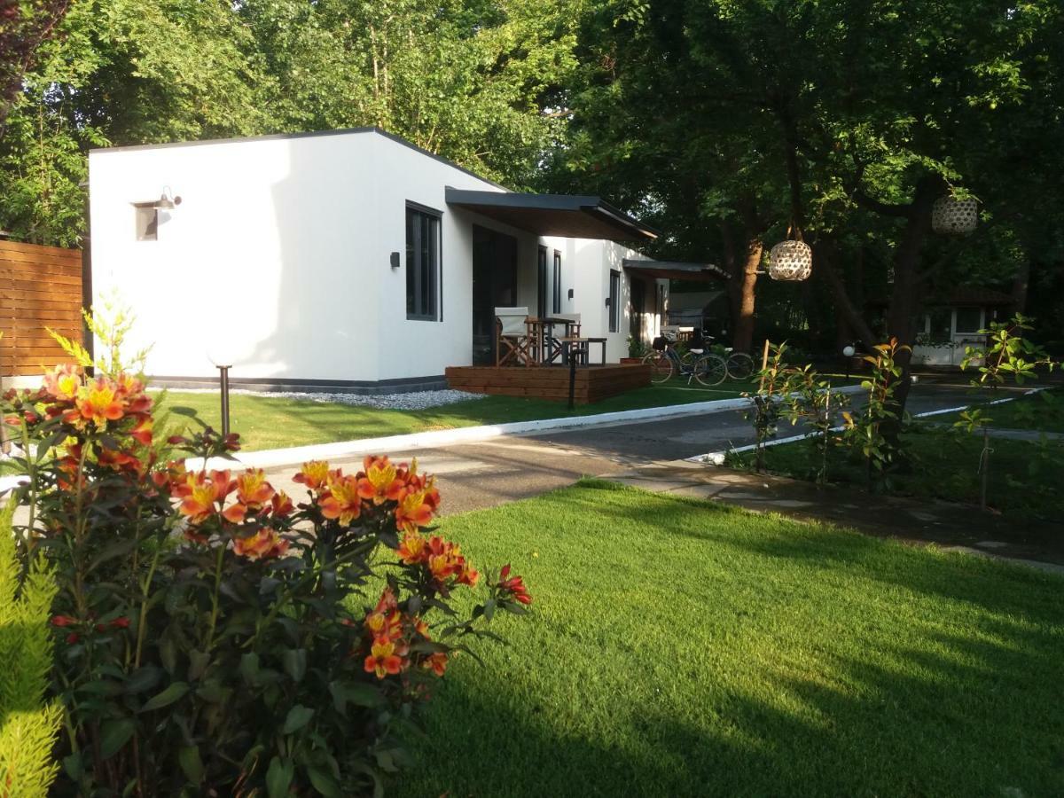Gkaras Campsite & Apartments Leptokaryá Ngoại thất bức ảnh